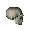 skull1.gif - 23.1 K